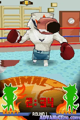 Animal Boxing (USA) screen shot game playing